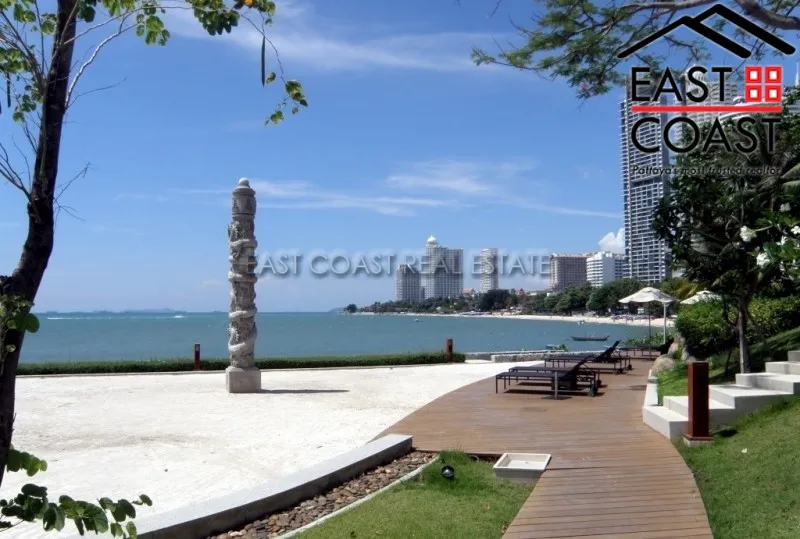 The Cove