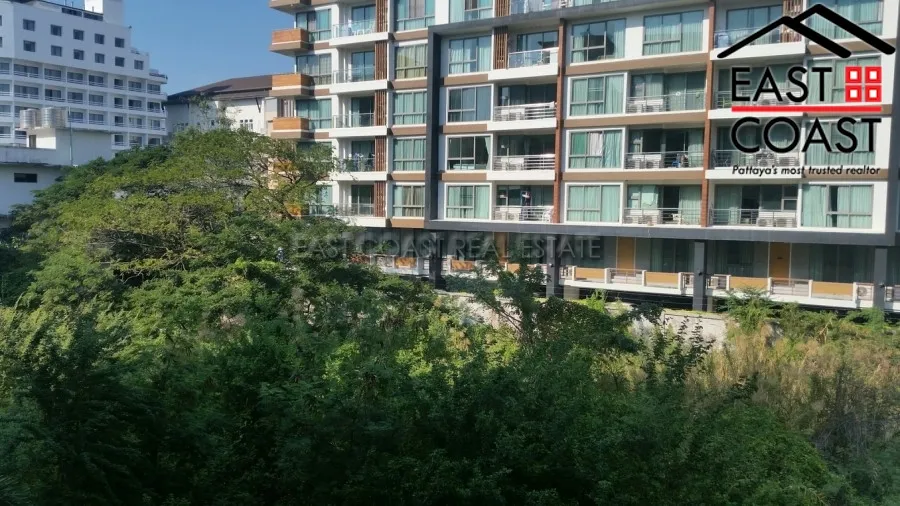 City Garden photo 10