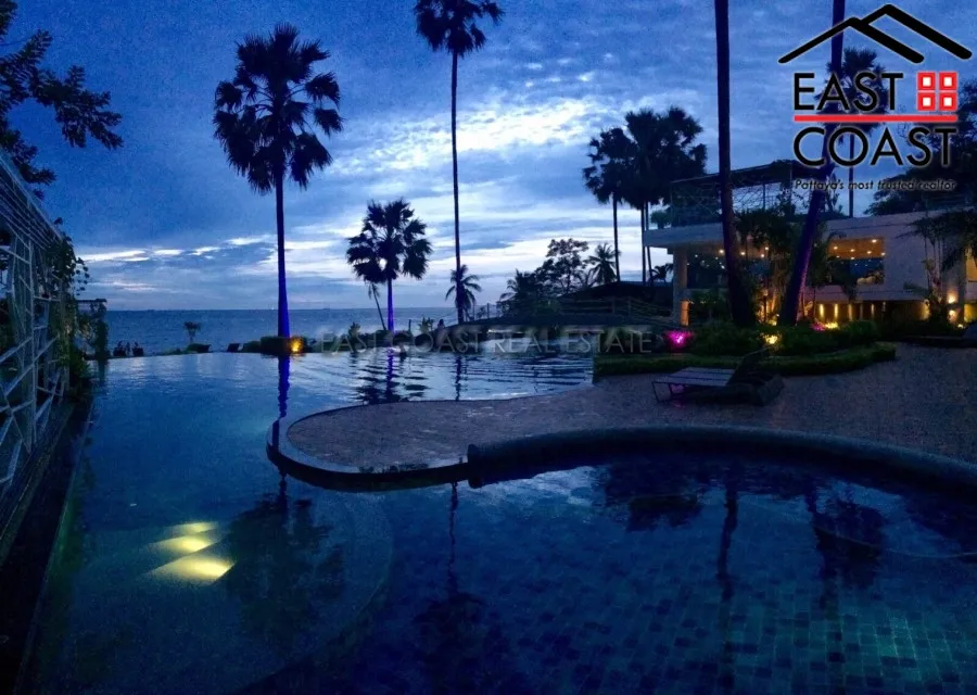 The Palm photo 26