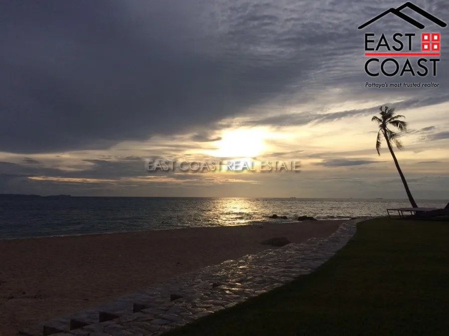 The Palm photo 27