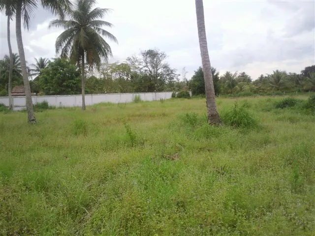 Sabai Jai Village photo 4