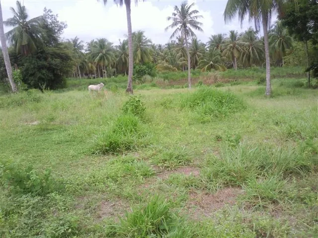 Sabai Jai Village photo 3