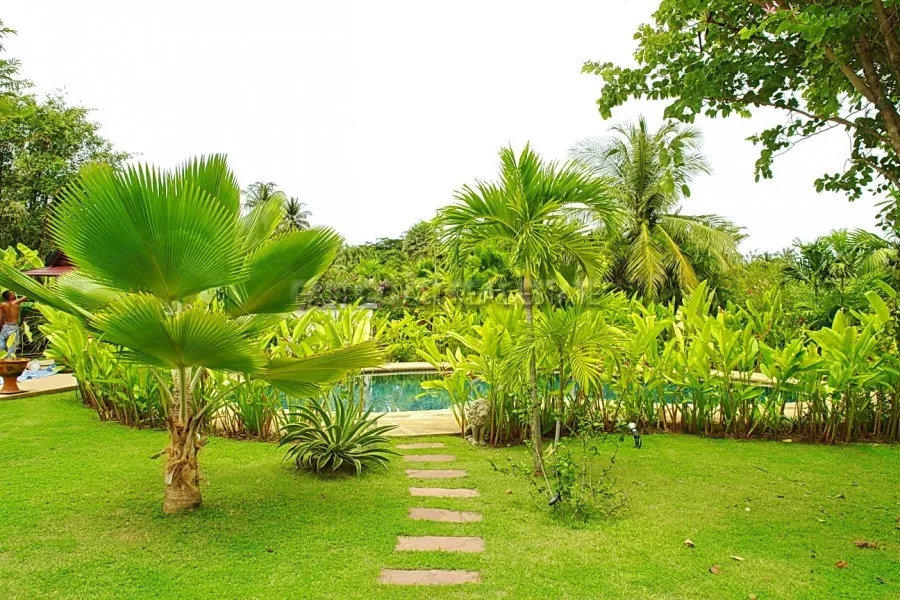 Ocean View photo 22