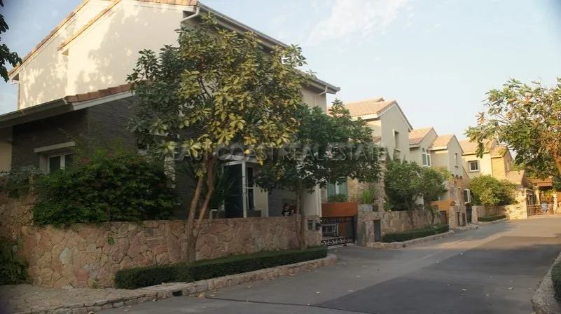 Silk Road photo 8