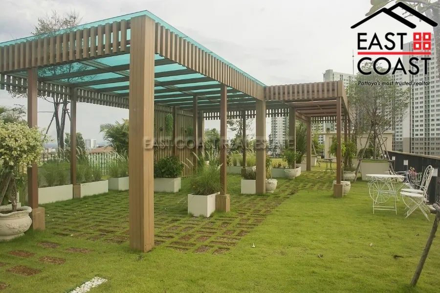 City Garden Tropicana photo 12