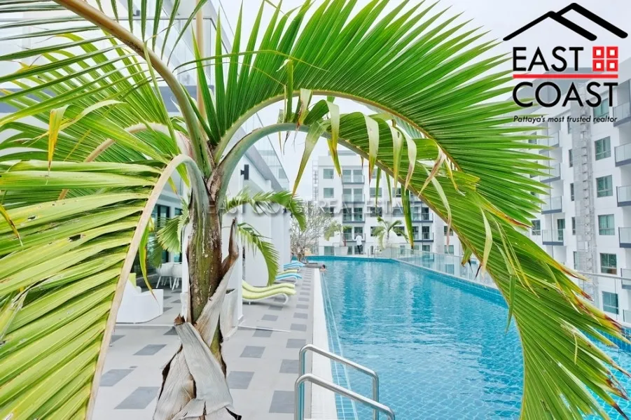 Arcadia Beach Resort photo 21