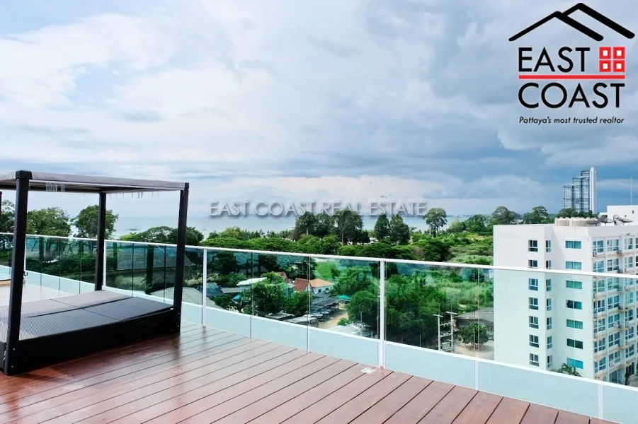 Sea Saran photo 19