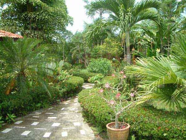 Amazon Residence - FROM 1,990,000 in Foreign Name photo 3