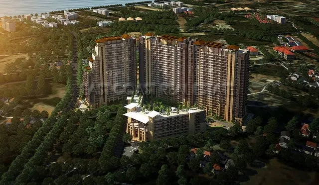 Savanna Sands