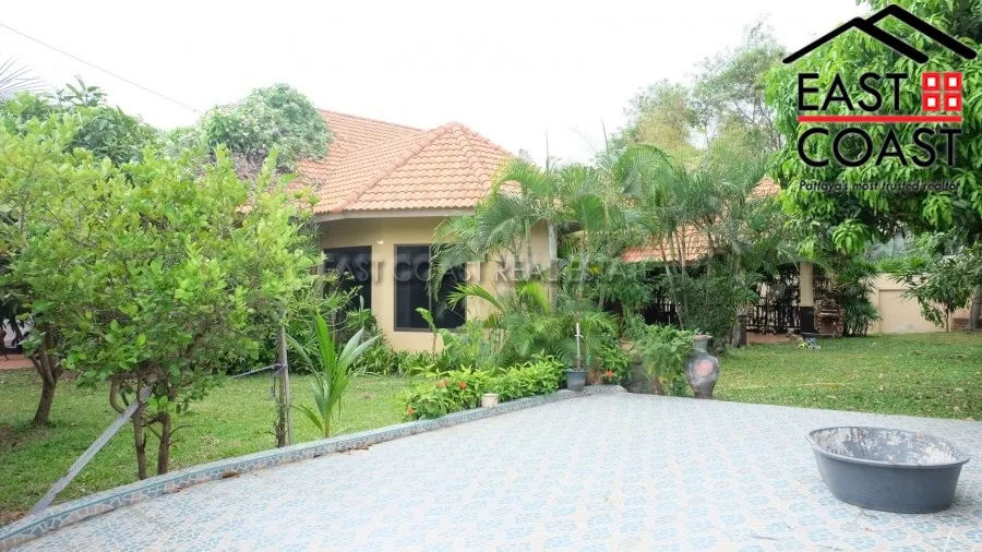 Pattaya Hill 2 photo 29