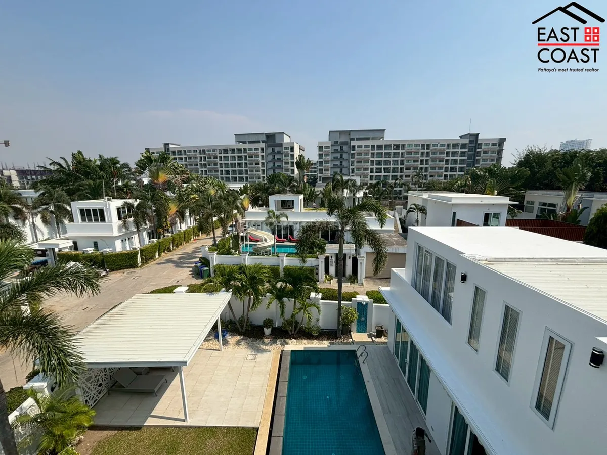 Palm Oasis photo 29
