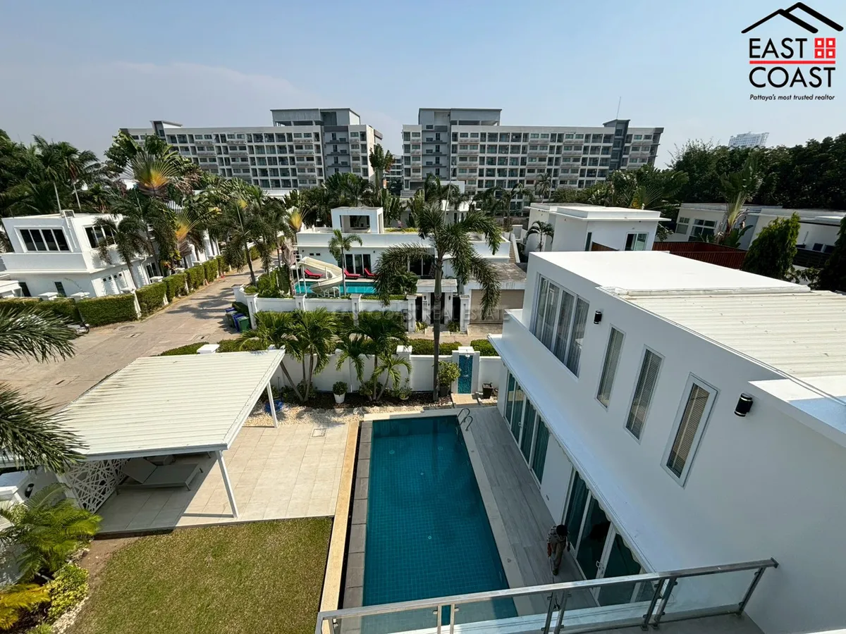 Palm Oasis photo 37