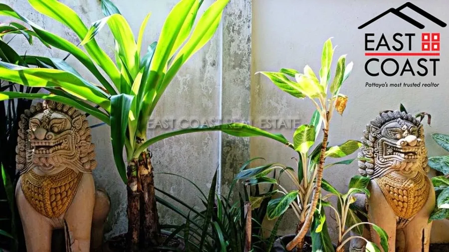 Cest Palai photo 21