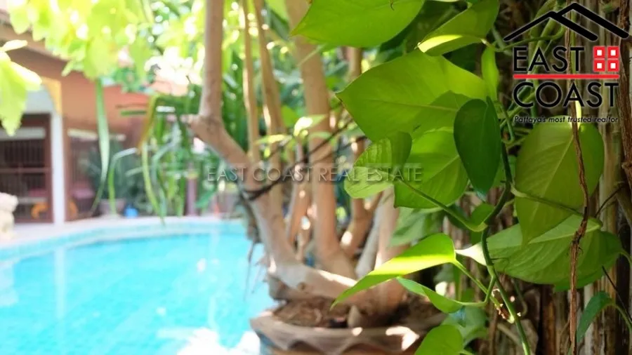 Cest Palai photo 12