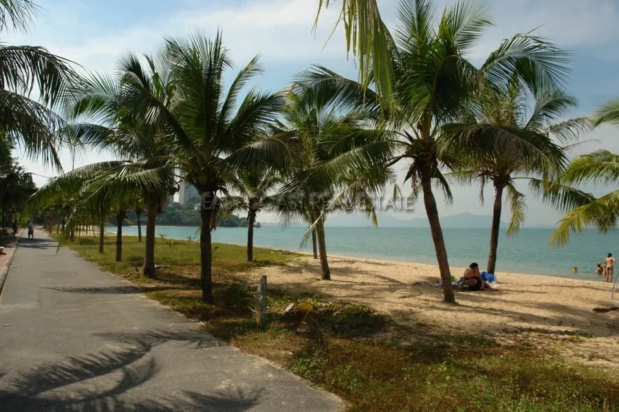 Hin Wong Nivate photo 23