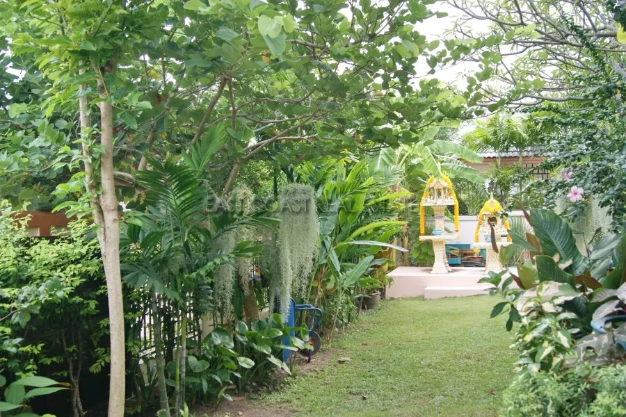 Nibbana photo 6