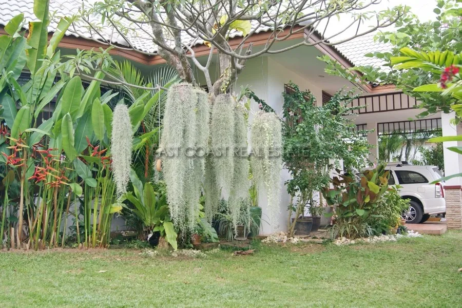 Nibbana photo 7
