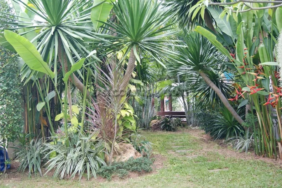 Nibbana photo 8