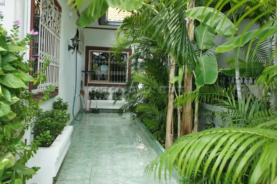 Suksabai photo 6