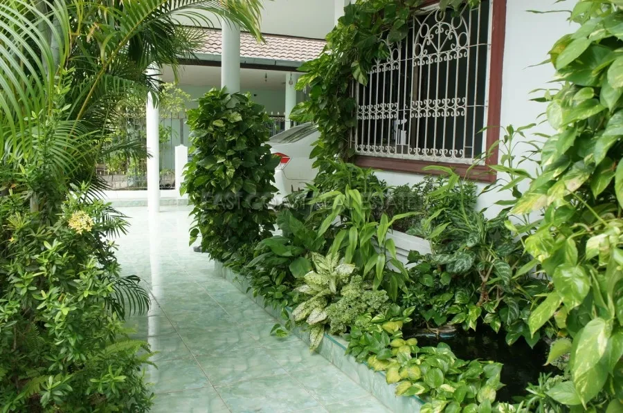 Suksabai photo 5