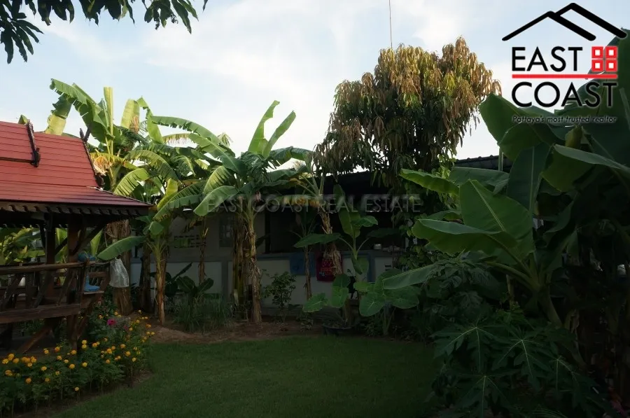 Takien Tia photo 19