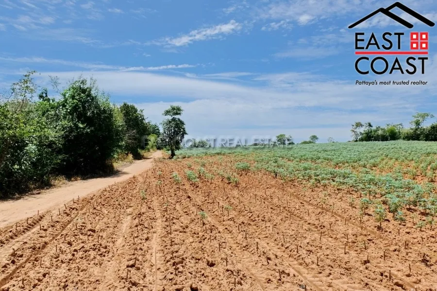 Land in Soi Phoenix photo 3