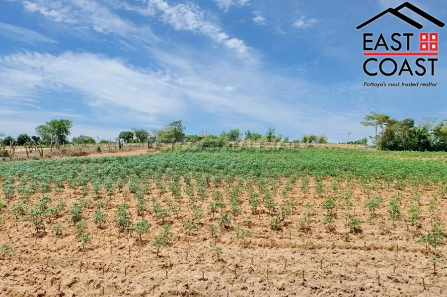 Land in Soi Phoenix photo 11