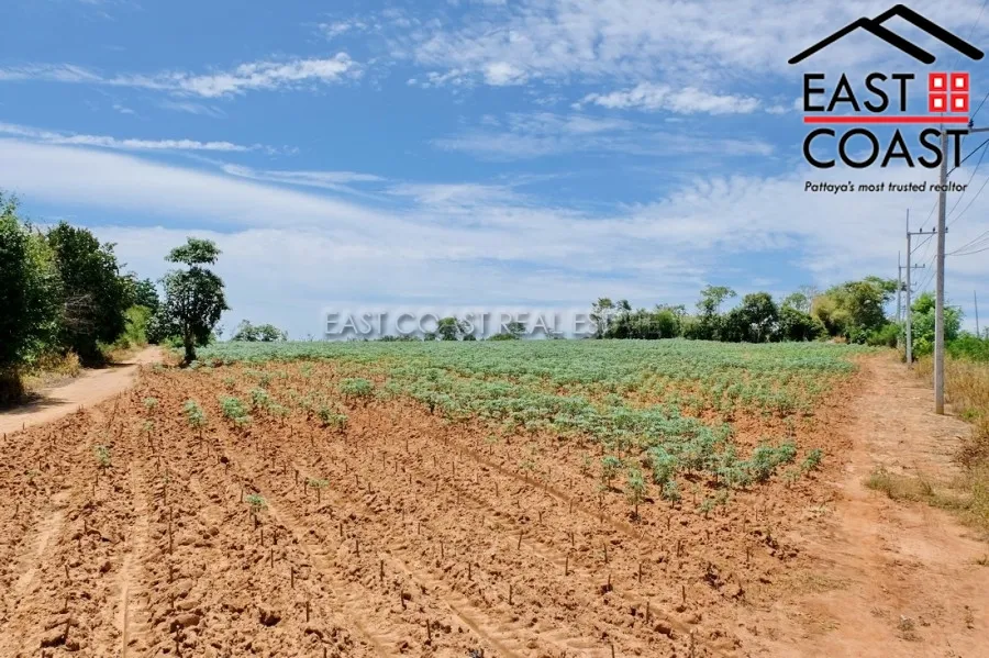 Land in Soi Phoenix