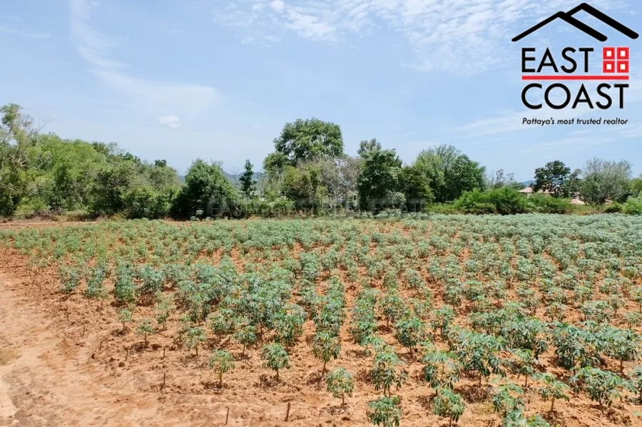 Land in Soi Phoenix photo 7