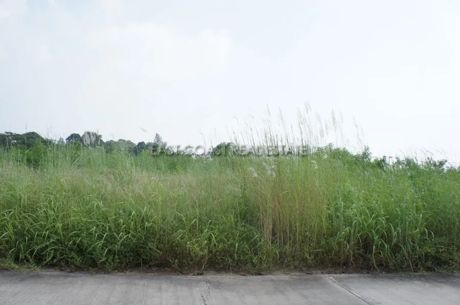 Land at soi Wat Boon photo 5
