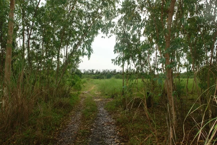 Huay Yai Land photo 6