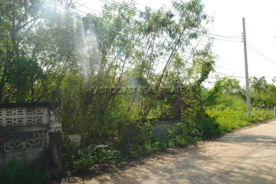 Land Baan Amphur photo 4