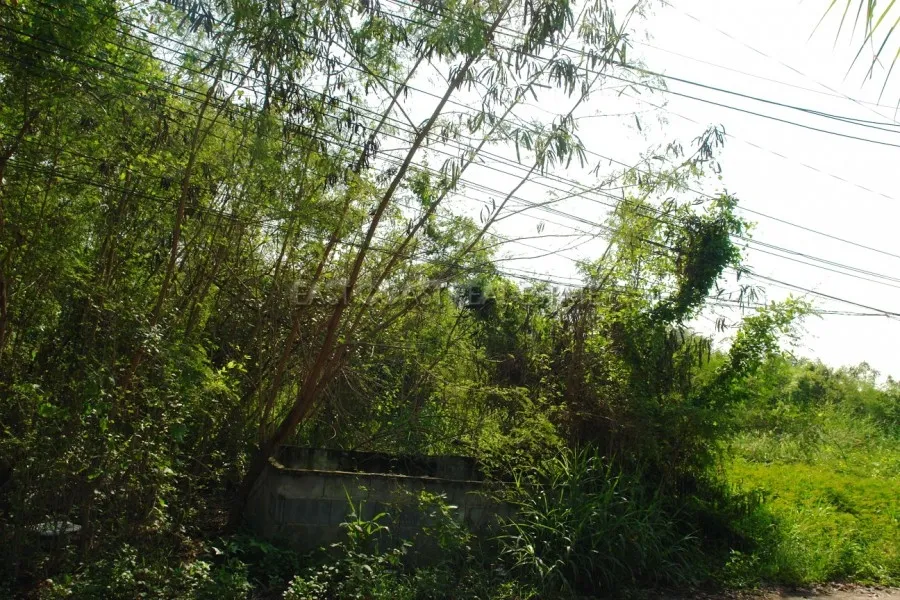 Land Baan Amphur photo 6