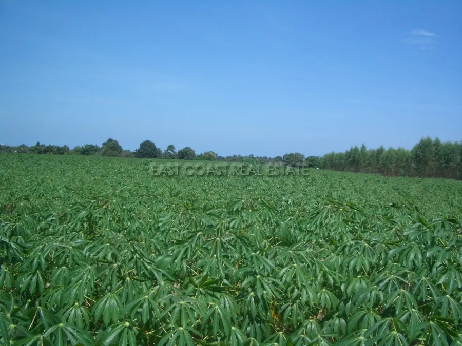 Land Nongpalai