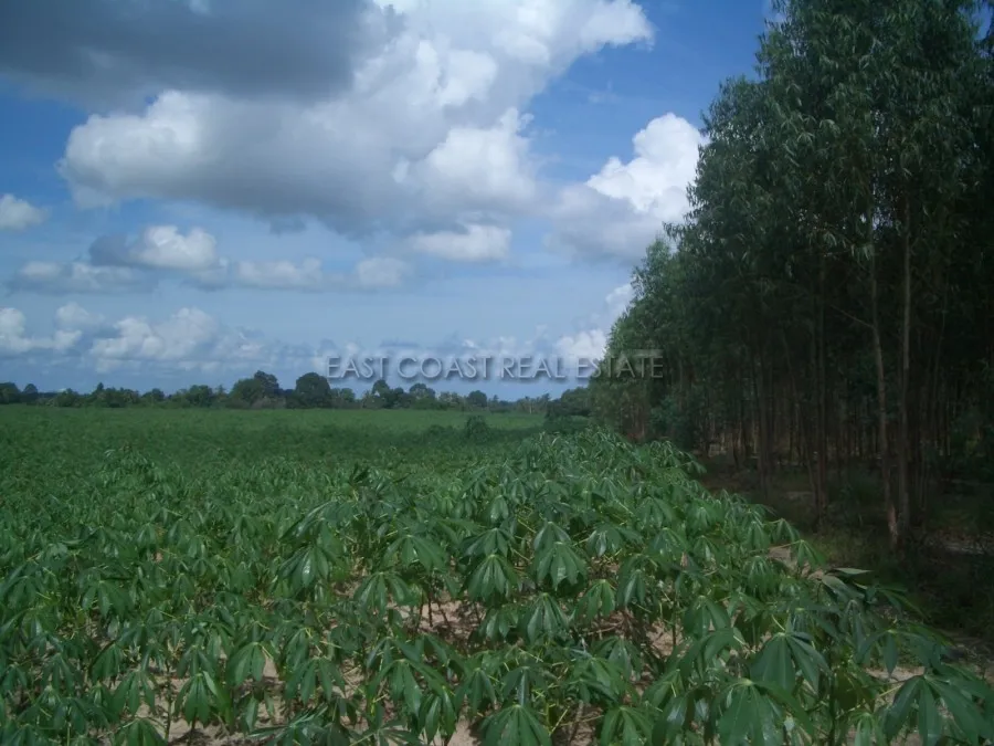 Land Nongpalai photo 7