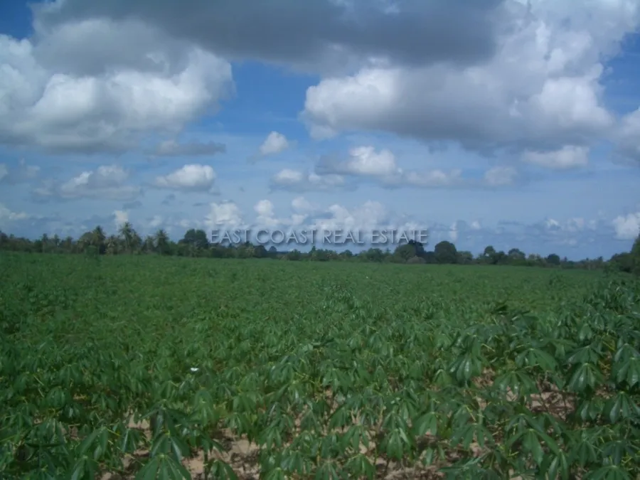 Land Nongpalai photo 6