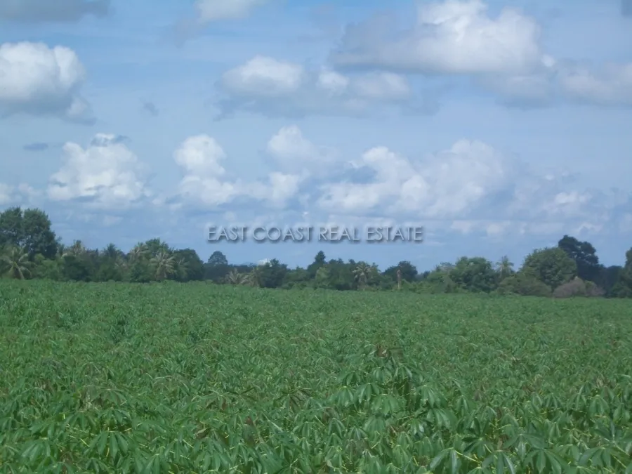 Land Nongpalai photo 5