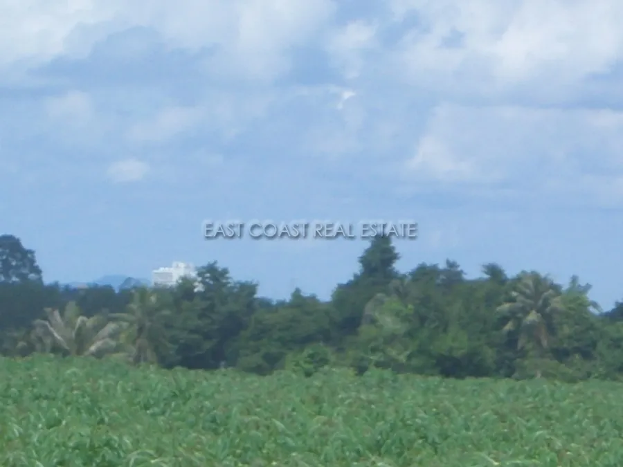Land Nongpalai photo 4
