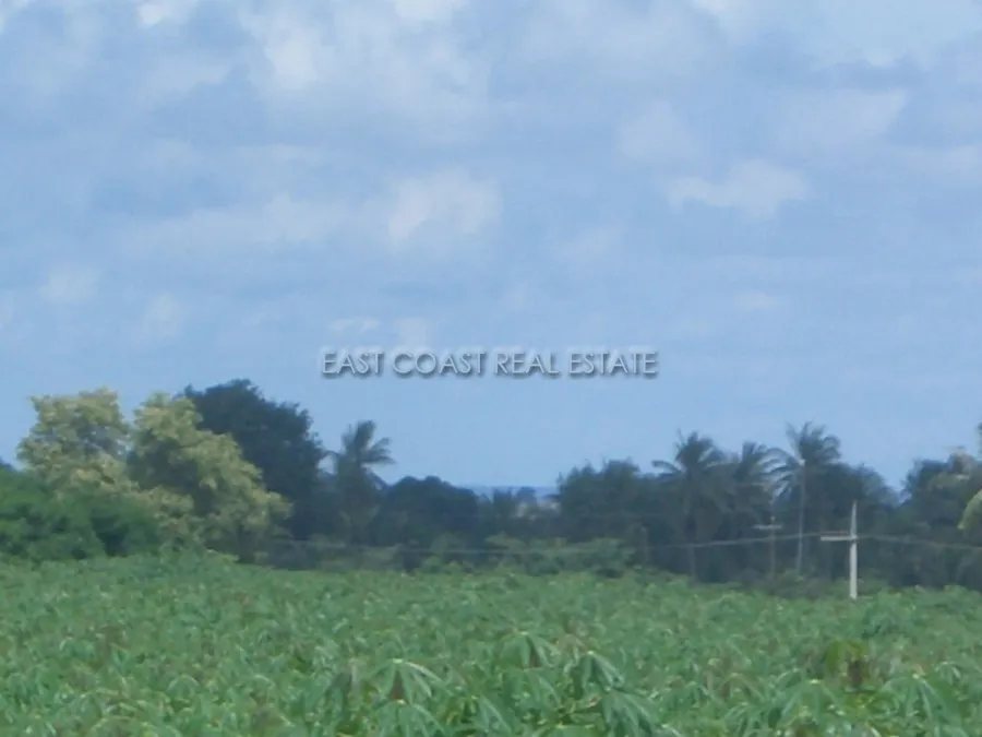 Land Nongpalai photo 3