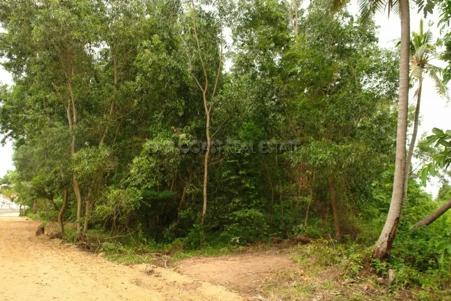 Land near Crocodile Farm photo 12