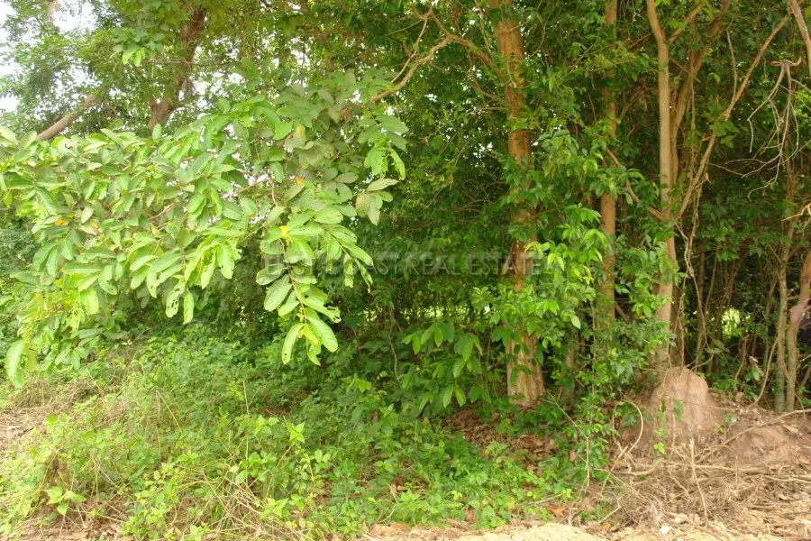 Land near Crocodile Farm photo 7