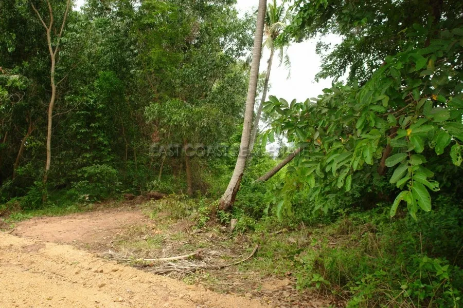 Land near Crocodile Farm photo 6