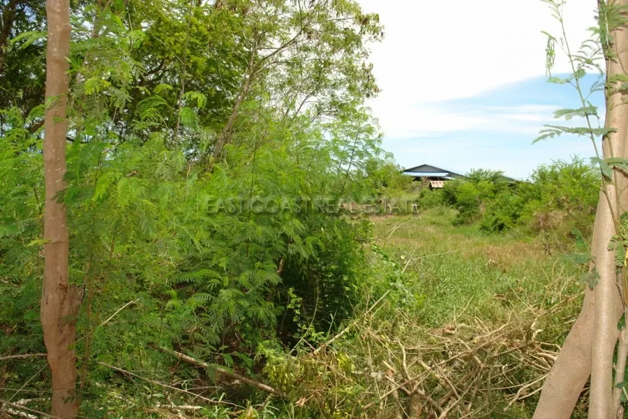 Land Bang Saray photo 6