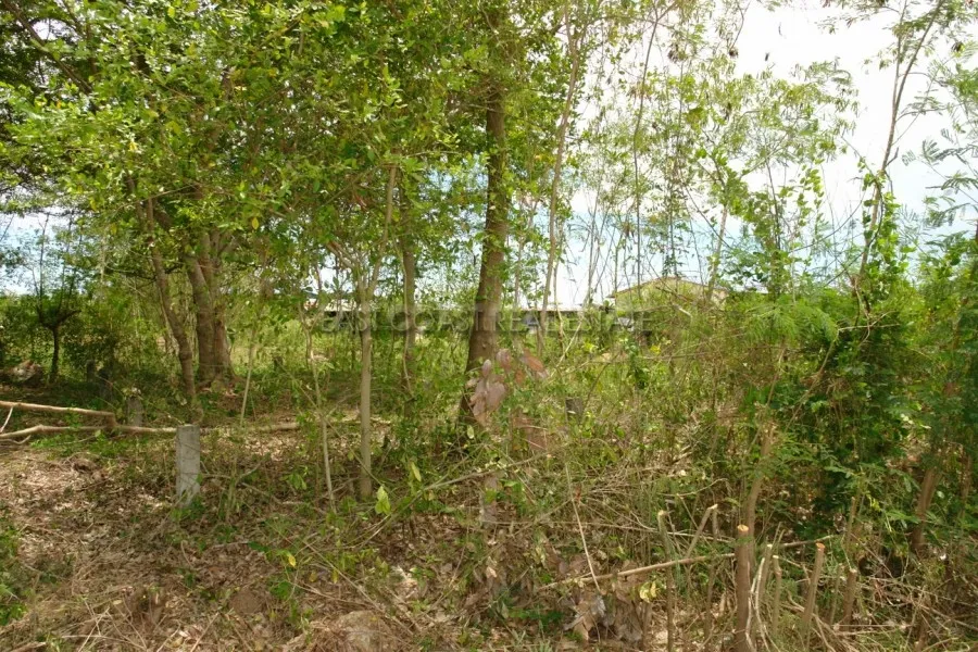 Land Bang Saray photo 3