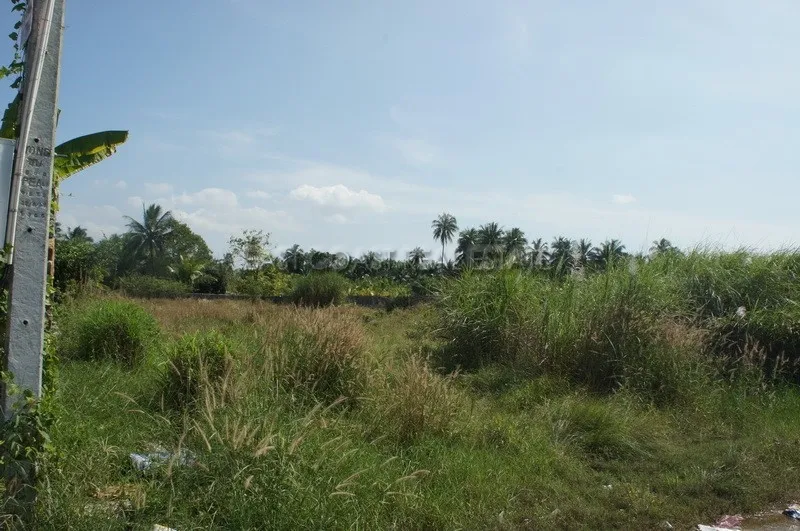 Land Soi Pornpapranimit photo 8