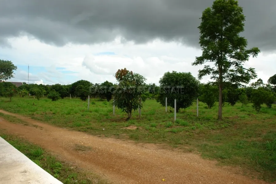 Nongket Yai photo 5