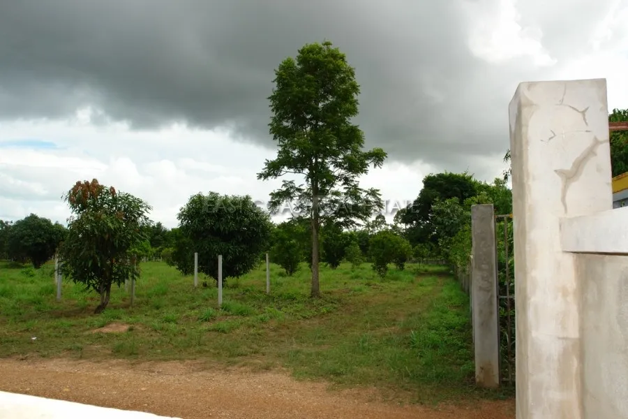 Nongket Yai photo 3