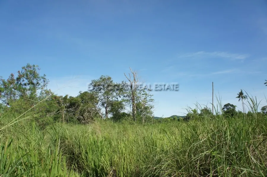 15 Rai land plot in Bang Saray photo 6