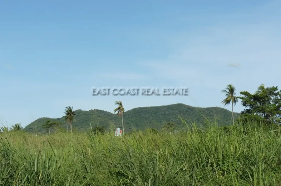 15 Rai land plot in Bang Saray photo 4