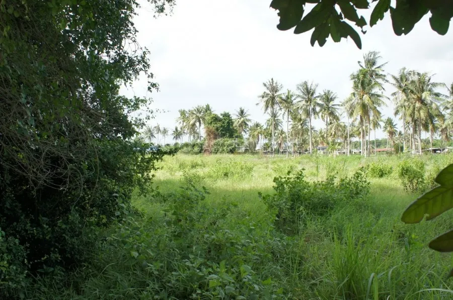 Land near Crocodile Farm photo 12